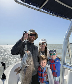 Joyful catch with a chunky Black Drum.